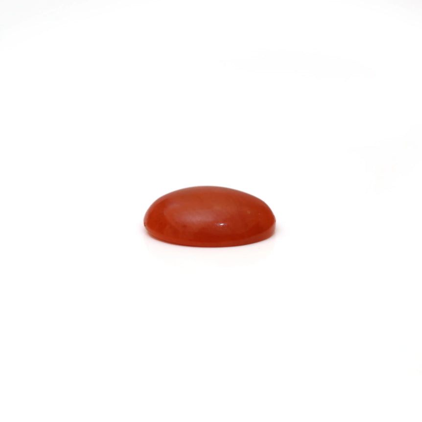 Japanese Red Coral - 2.8 Carat