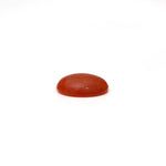 Japanese Red Coral - 2.8 Carat