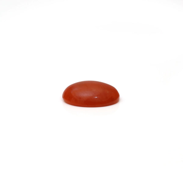 Japanese Red Coral - 2.8 Carat
