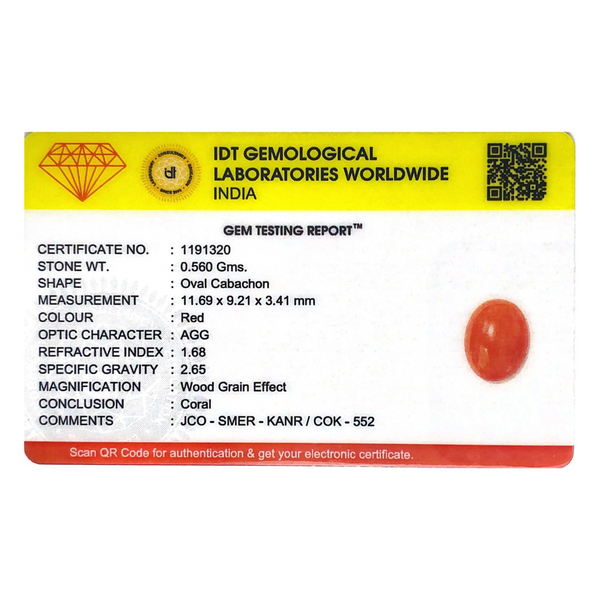 Japanese Red Coral - 2.8 Carat