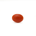 Japanese Red Coral - Moonga - 2.8 Carat - Pramogh