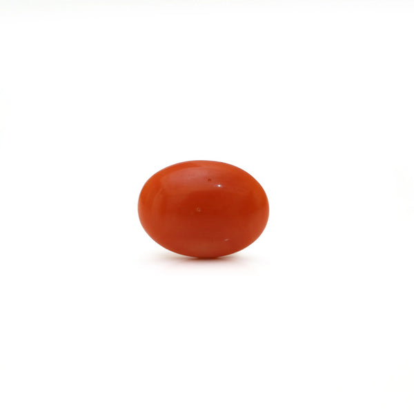 Japanese Red Coral - Moonga - 2.8 Carat - Pramogh