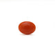 Japanese Red Coral - Moonga - 2.8 Carat - Pramogh