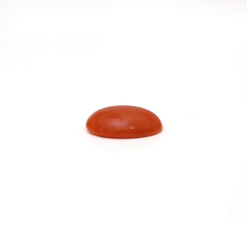 Japanese Red Coral - 2.8 Carat
