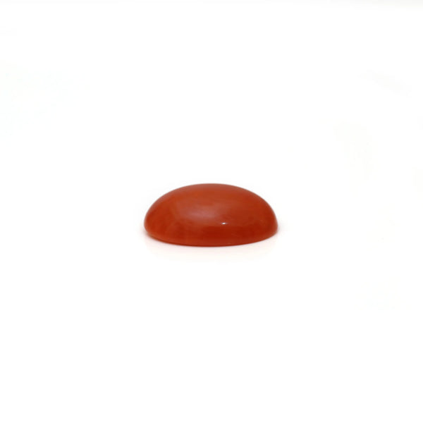 Japanese Red Coral - 3 Carat
