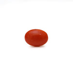 Japanese Red Coral - Moonga - 2.55 Carat - Pramogh