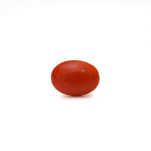 Japanese Red Coral - Moonga - 2.55 Carat - Pramogh
