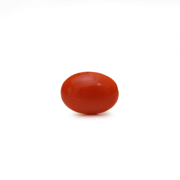 Japanese Red Coral - Moonga - 2.55 Carat - Pramogh