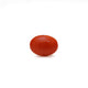 Japanese Red Coral - Moonga - 2.55 Carat - Pramogh