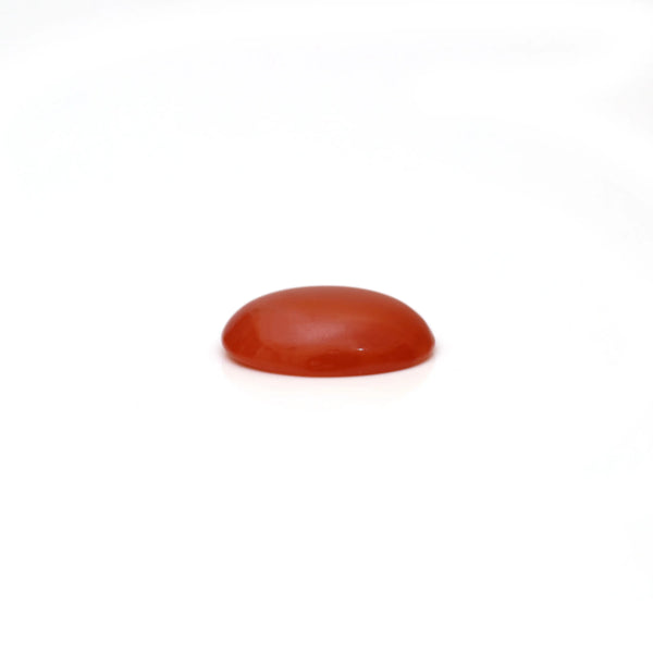 Japanese Red Coral - 2.55 Carat