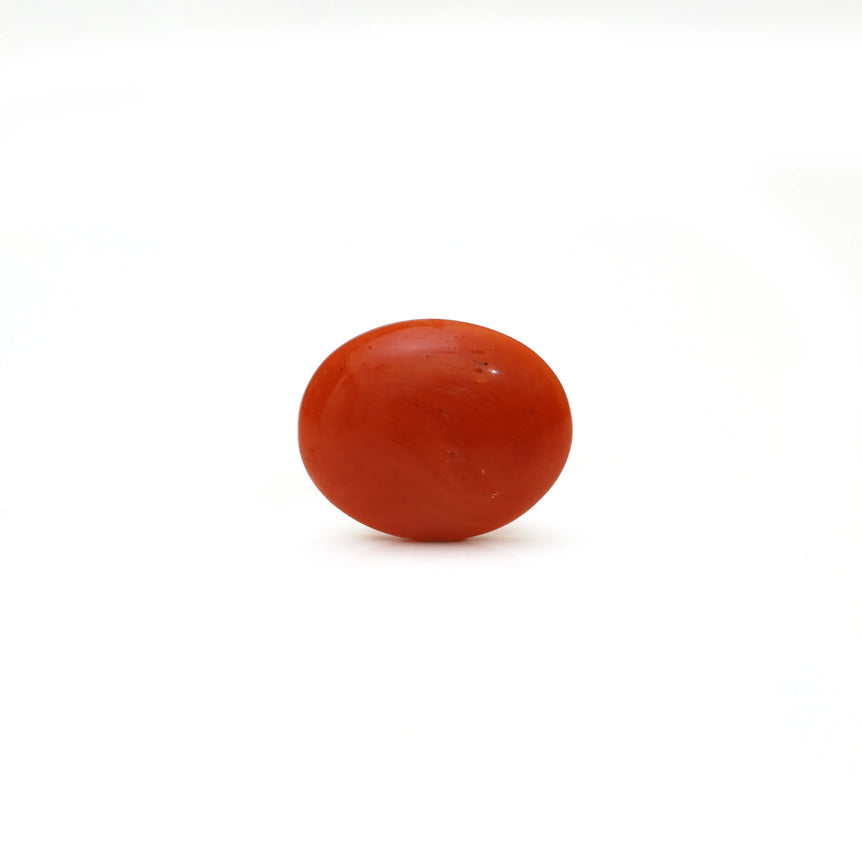Japanese Red Coral - Moonga - 2.57 Carat - Pramogh