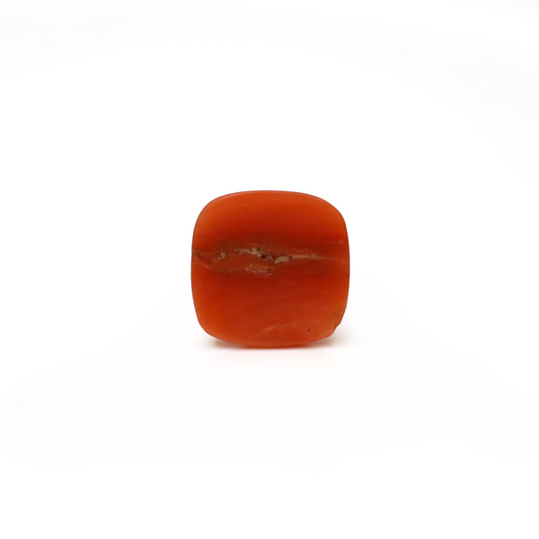 Japanese Red Coral - 2.65 Carat