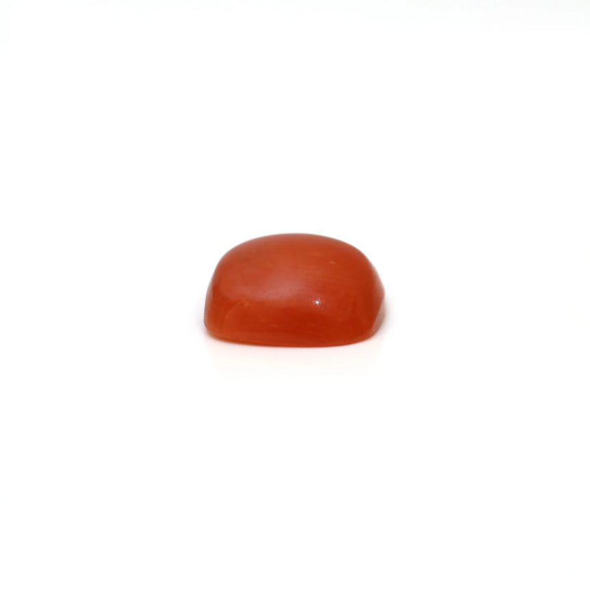 Japanese Red Coral - 2.65 Carat