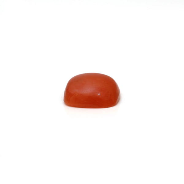 Japanese Red Coral - 2.65 Carat
