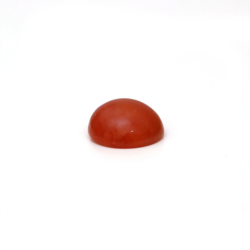 Japanese Red Coral - 2.47 Carat