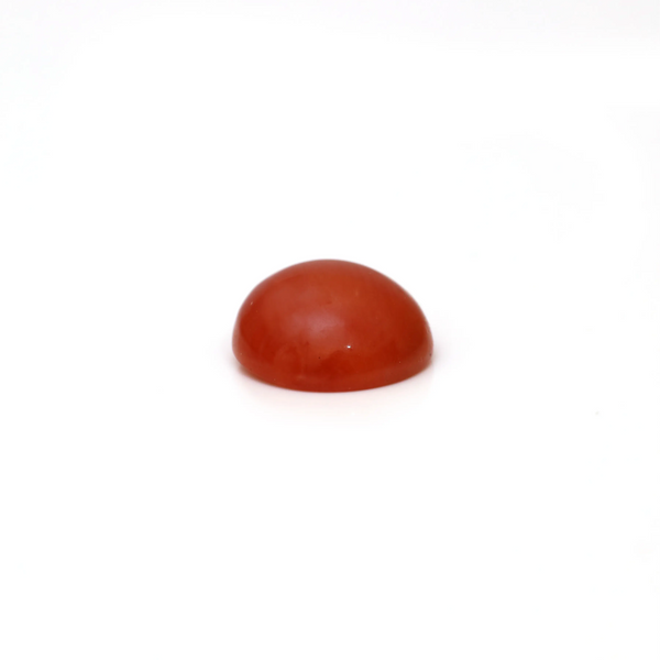 Japanese Red Coral - 2.47 Carat