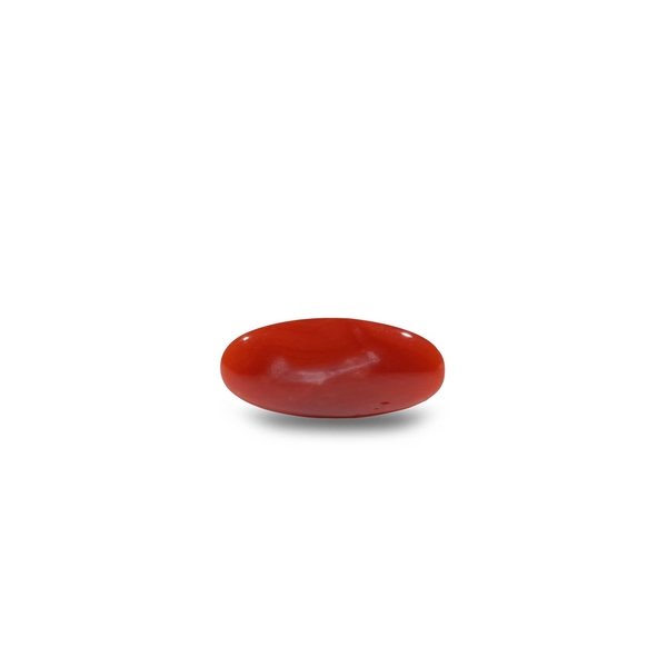 Japanese Red Coral - 5.55 Carat