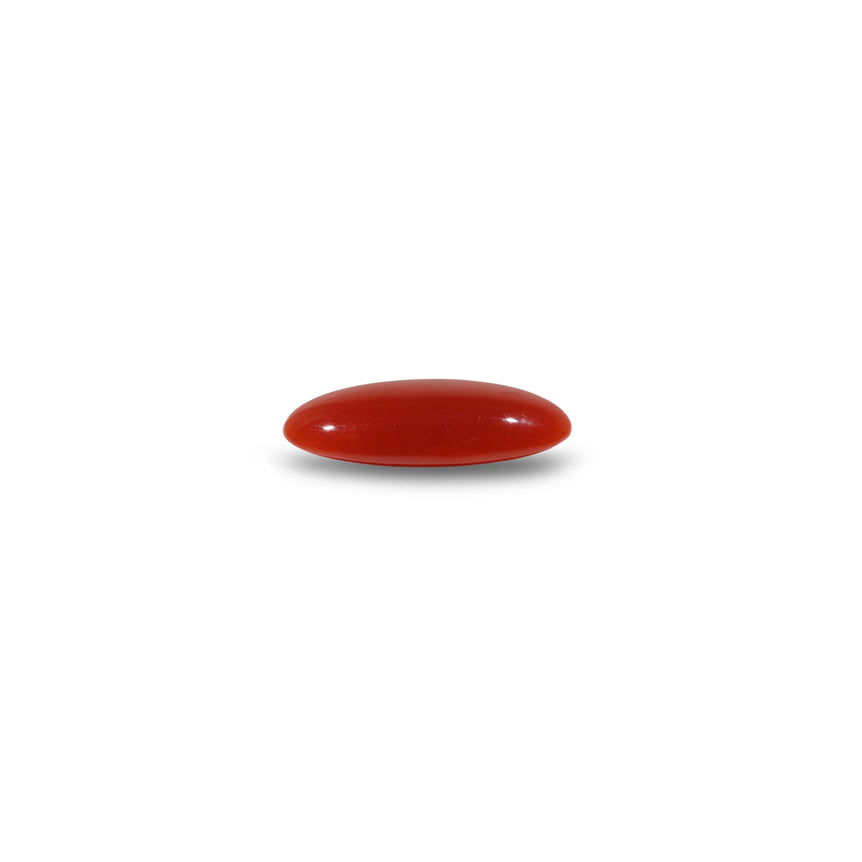 Japanese Red Coral - 5.55 Carat