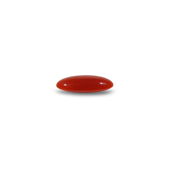 Japanese Red Coral - 5.55 Carat