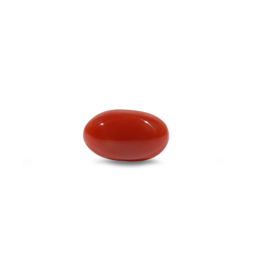 Japanese Red Coral - 6 Carat - Pramogh