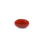 Japanese Red Coral - 6 Carat - Pramogh