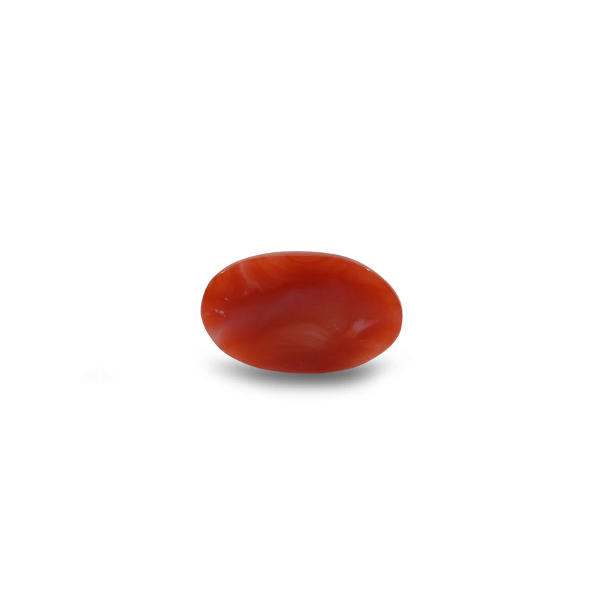 Japanese Red Coral - 6 Carat