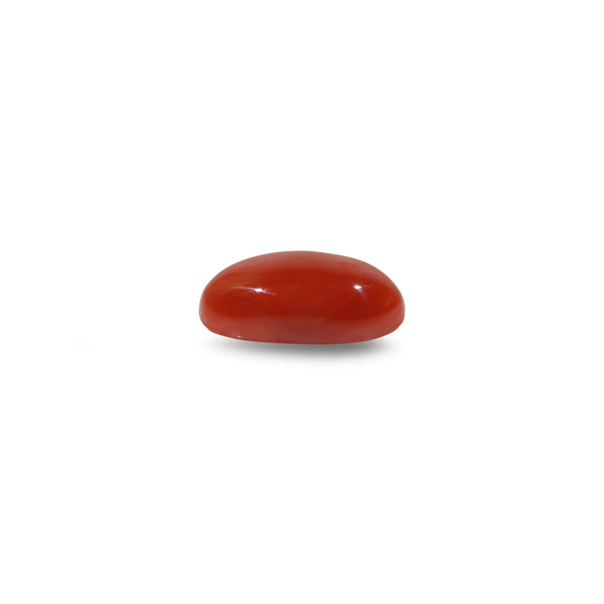 Japanese Red Coral - 6 Carat