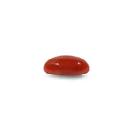 Japanese Red Coral - 6 Carat