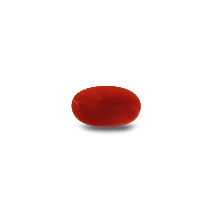 Japanese Red Coral - 4.9 Carat