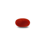 Japanese Red Coral - 4.9 Carat