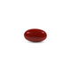 Japanese Red Coral - 5.25 Carat - Pramogh
