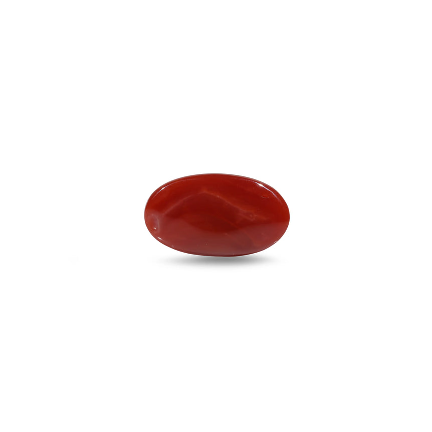 Japanese Red Coral - 5.25 Carat