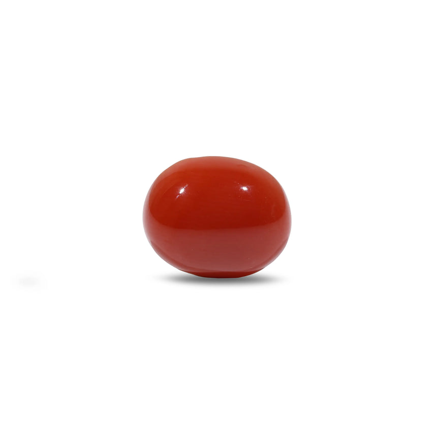 Japanese Red Coral - 4.75 Carat - Pramogh