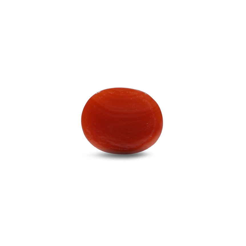 Japanese Red Coral - 4.75 Carat