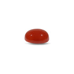 Japanese Red Coral - 4.75 Carat