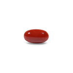 Japanese Red Coral - 4.75 Carat - Pramogh