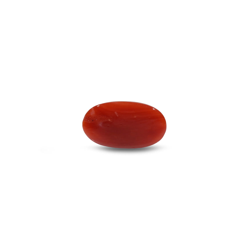 Japanese Red Coral - 4.75 Carat