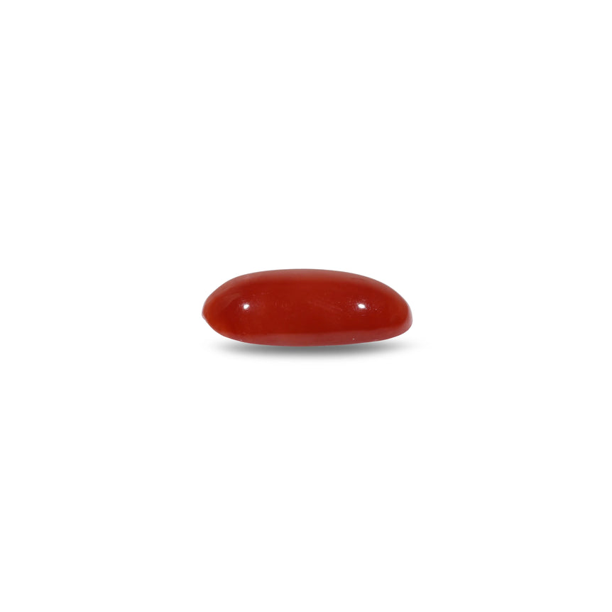 Japanese Red Coral - 4.75 Carat
