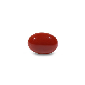 Japanese Red Coral - 4.8 Carat - Pramogh