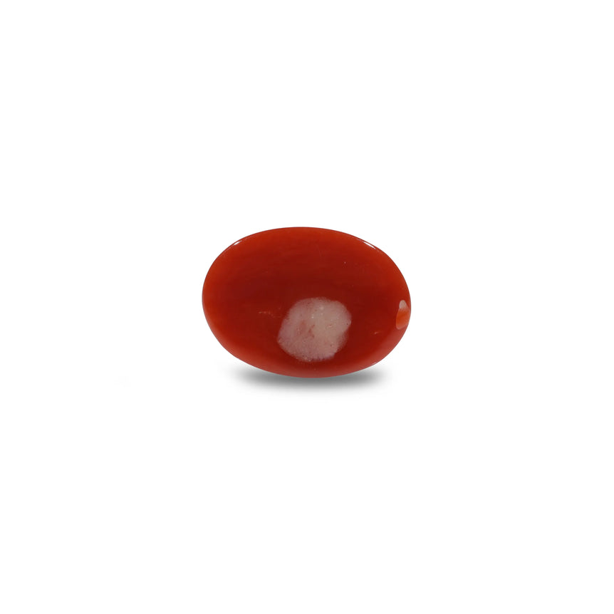 Japanese Red Coral - 4.8 Carat