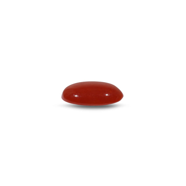 Japanese Red Coral - 4.8 Carat