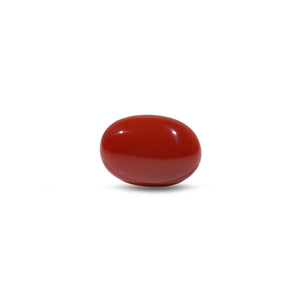 Japanese Red Coral - 5.2 Carat - Pramogh