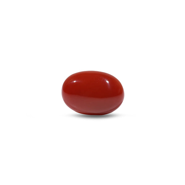 Japanese Red Coral - 5.2 Carat - Pramogh