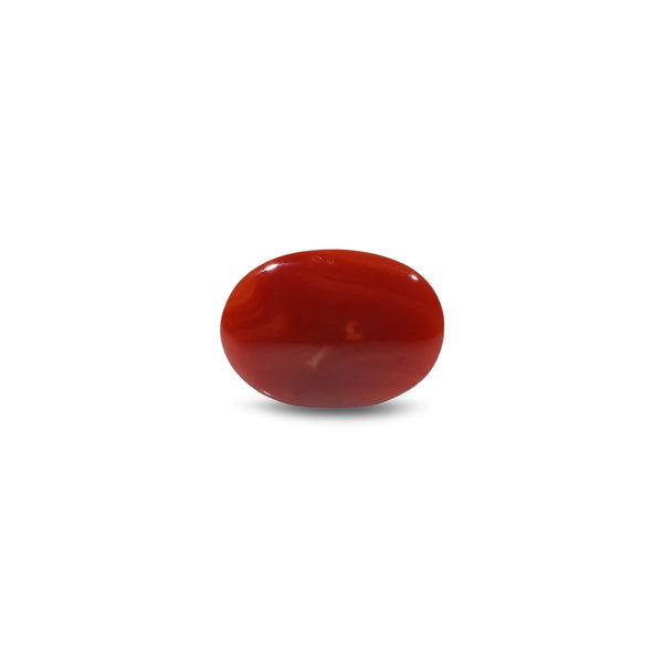 Japanese Red Coral - 5.2 Carat