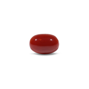 Japanese Red Coral - 3.6 Carat - Pramogh
