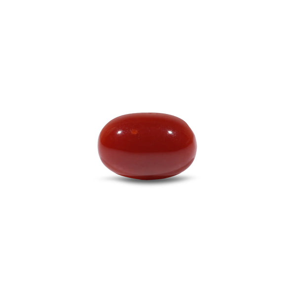 Japanese Red Coral - 3.6 Carat - Pramogh