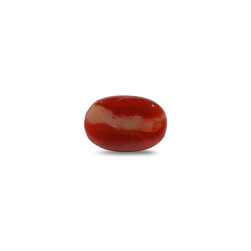Japanese Red Coral - 3.6 Carat