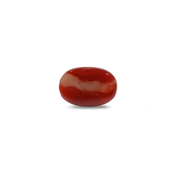 Japanese Red Coral - 3.6 Carat