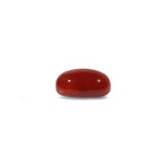 Japanese Red Coral - 3.6 Carat