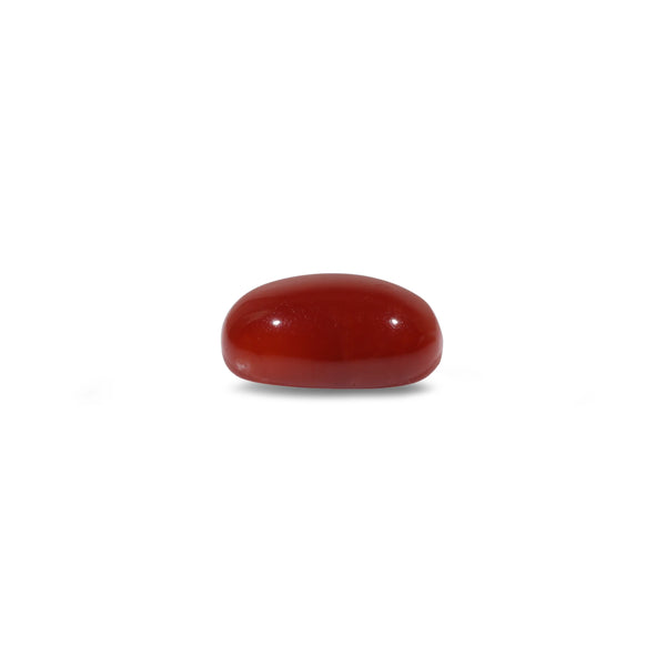 Japanese Red Coral - 3.6 Carat
